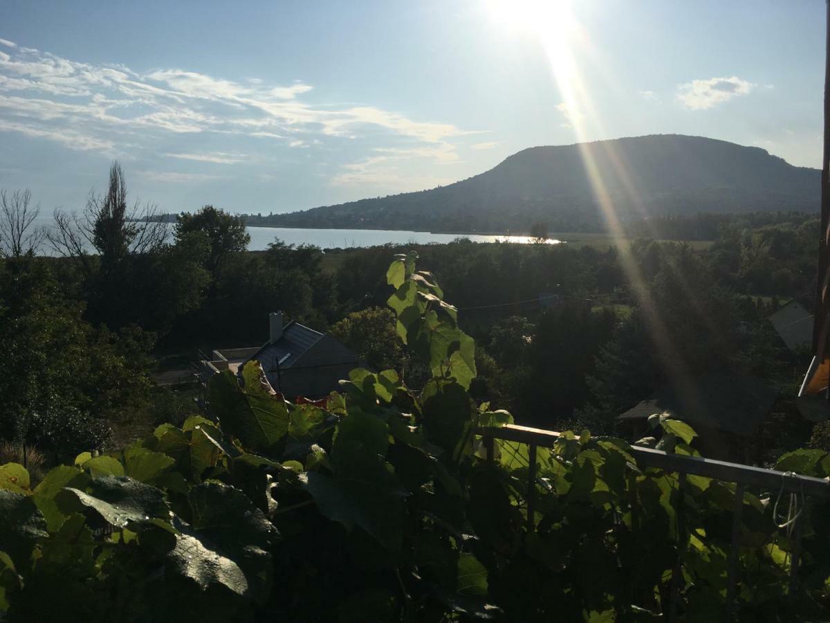 Sipos Borhaz Es Vendeghaz Otel Badacsonyörs Dış mekan fotoğraf