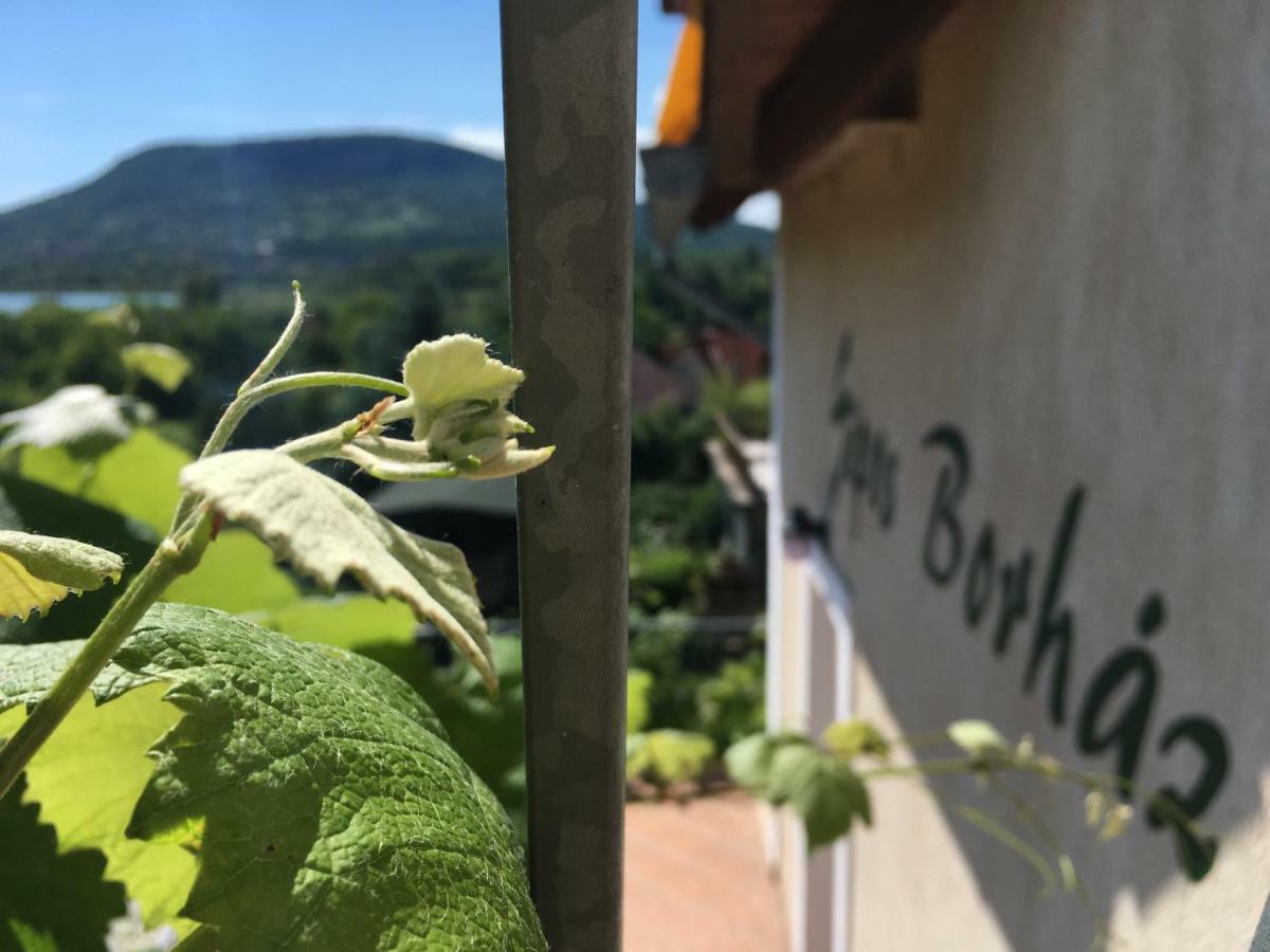 Sipos Borhaz Es Vendeghaz Otel Badacsonyörs Dış mekan fotoğraf