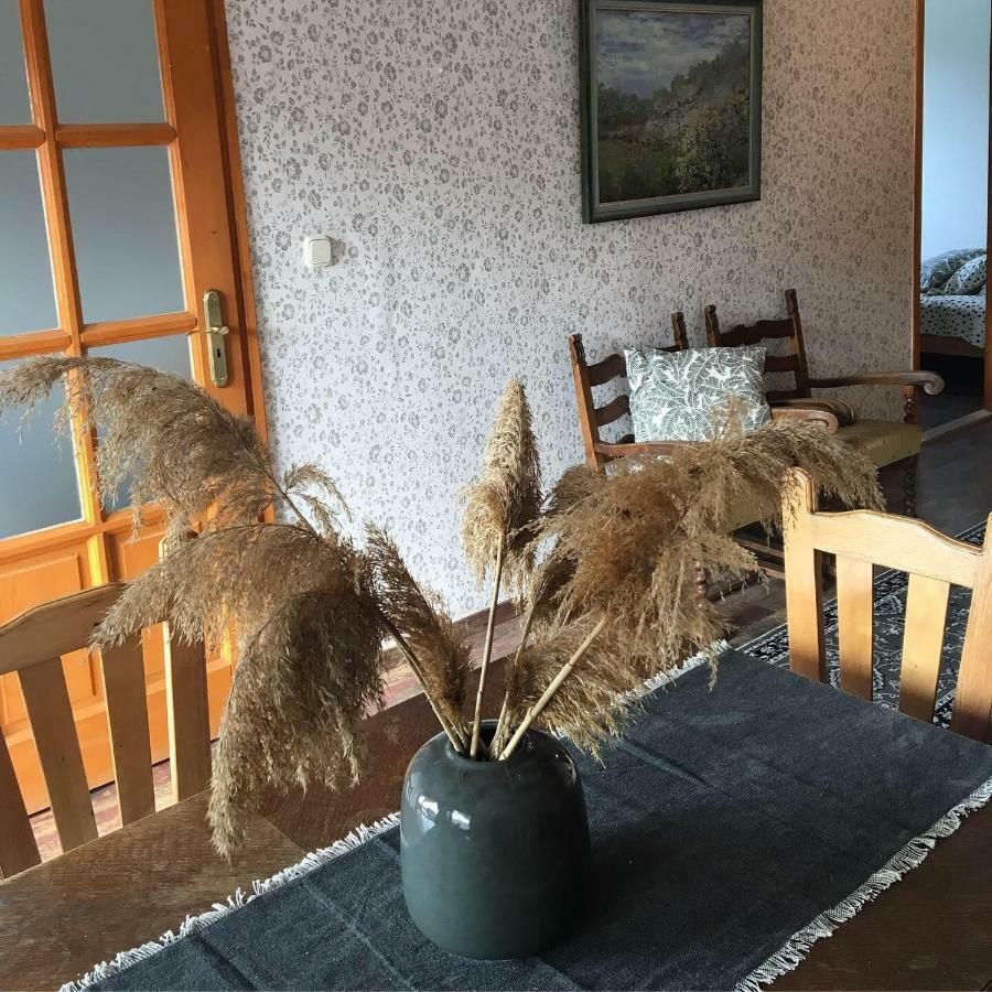 Sipos Borhaz Es Vendeghaz Otel Badacsonyörs Dış mekan fotoğraf